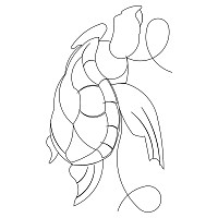 sea turtle brd crn 002